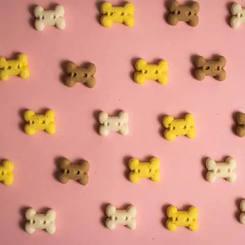 Meow!
